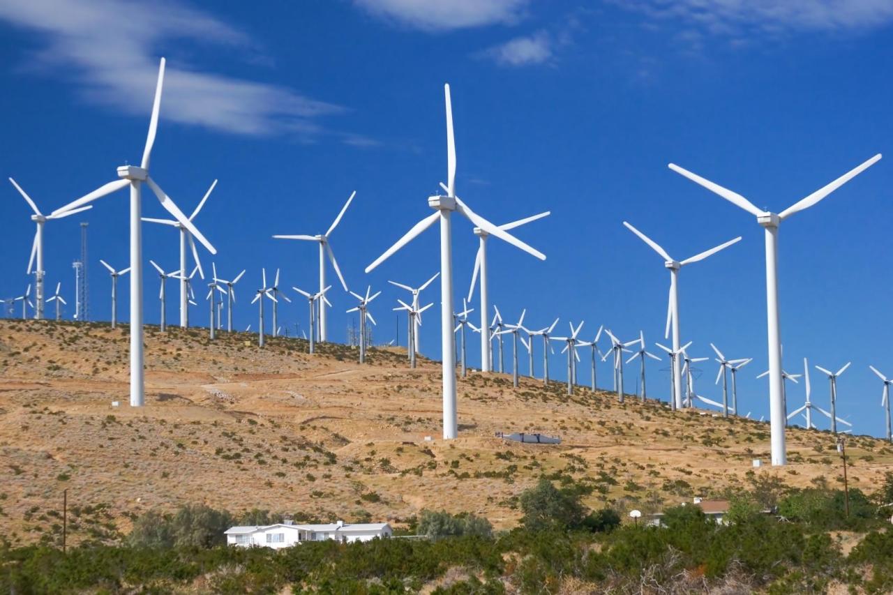 Azerbaijani Energy Ministry, ACWA Power company sign agreement on wind farm project