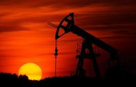 Azerbaijani oil prices continue to grow