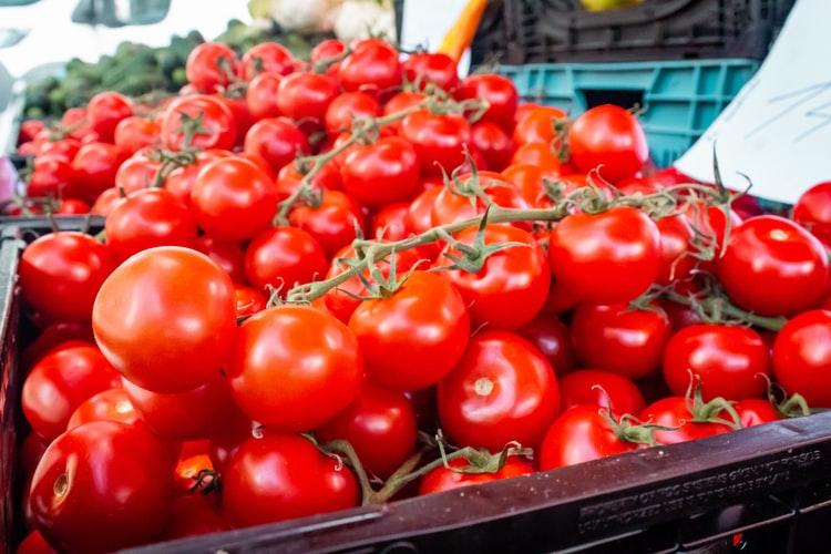 More Azerbaijani companies allowed to export tomatoes to Russia