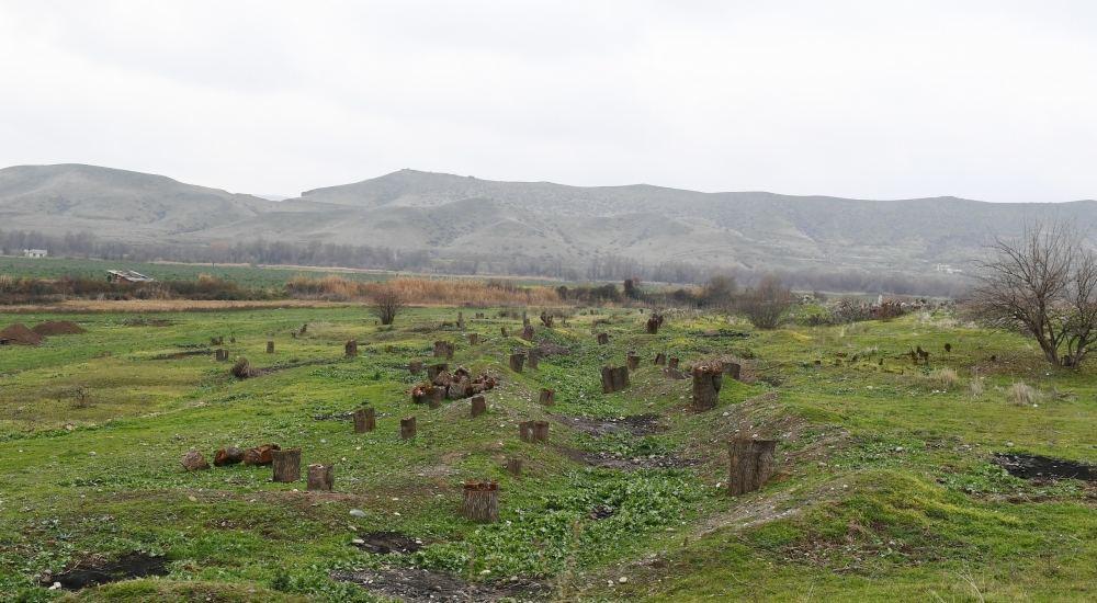 Armenia's ecological terror against Azerbaijan during three-decade occupation