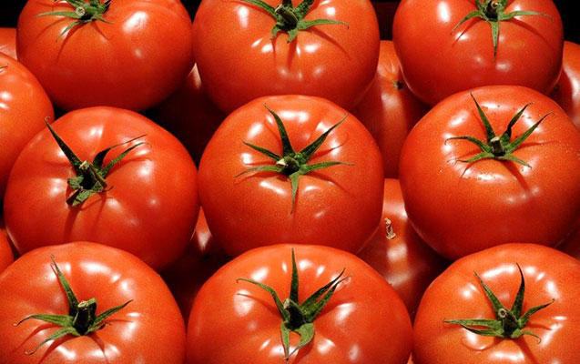 Restrictions on import of tomatoes from Azerbaijan - temporary, says Kazakh Ministry