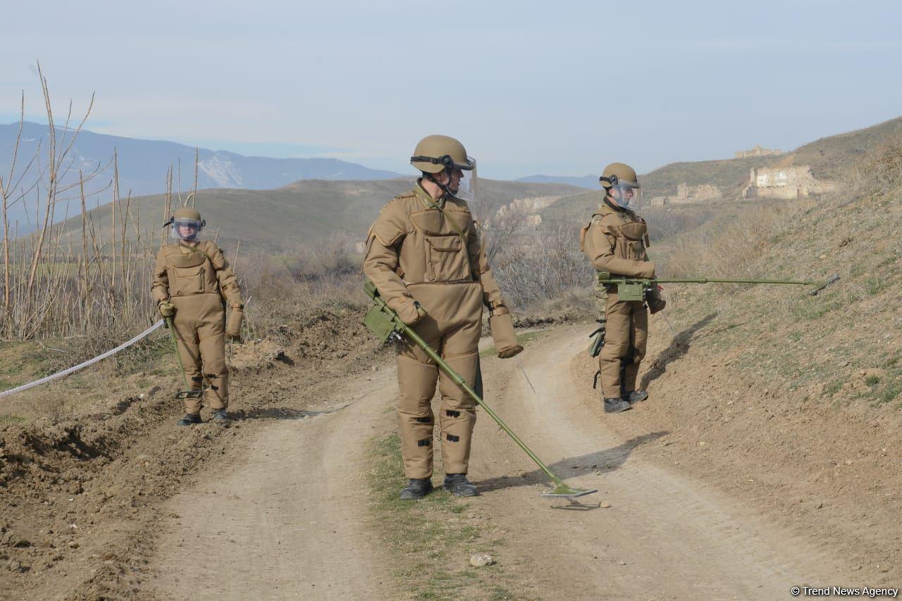 Demining of Azerbaijan's liberated lands continues [VIDEO]