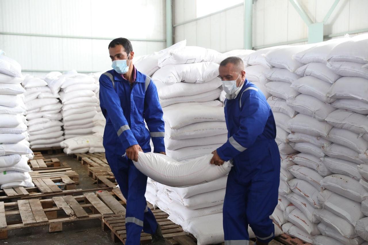 Preps online sale of mineral fertilizers in Azerbaijani regions nearing completion [PHOTO]