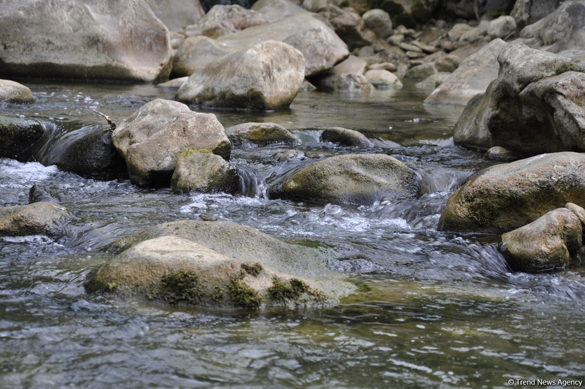 Azerbaijani ecology ministry talks potential of rivers in liberated lands