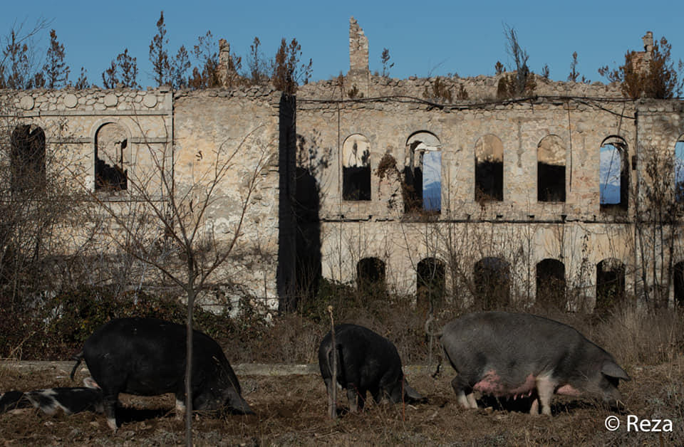 Famous photographer slams Armenian vandalism against monuments [PHOTO]