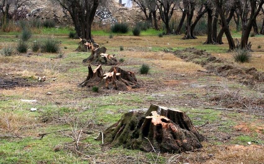 Azerbaijan unveils plans to eliminate damage caused by Armenia to environment of liberated lands [PHOTO]