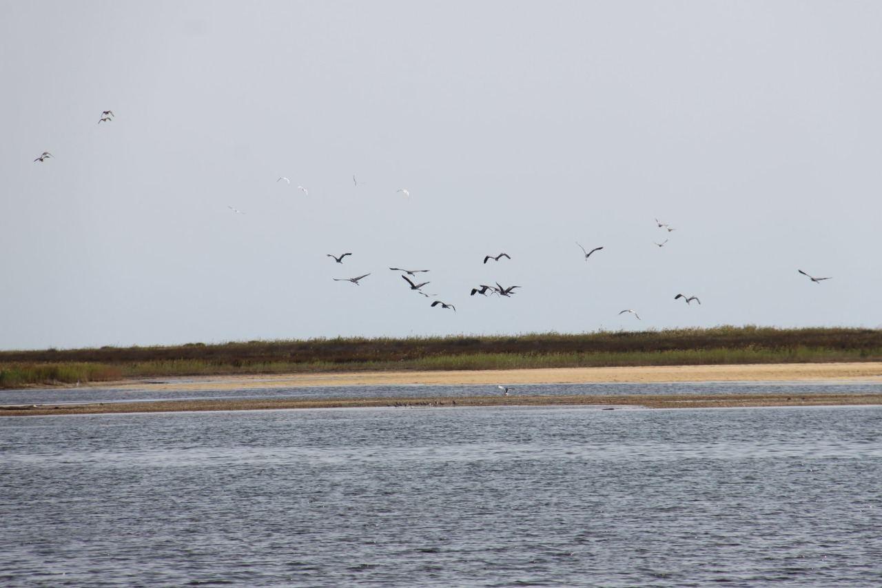 Azerbaijan marks World Wetlands Day [PHOTO]