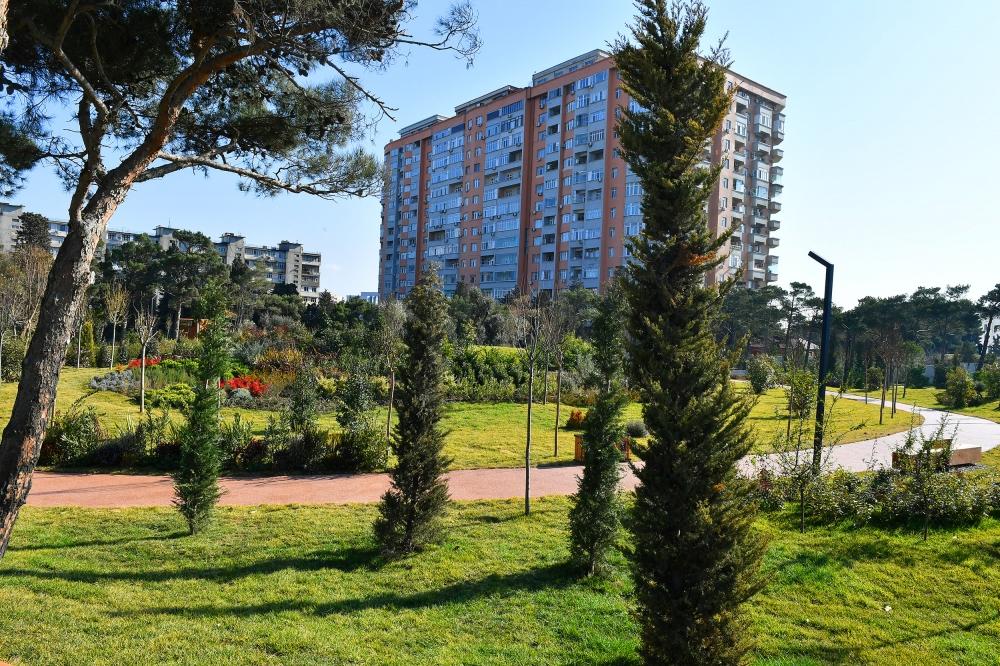Slider Image 1