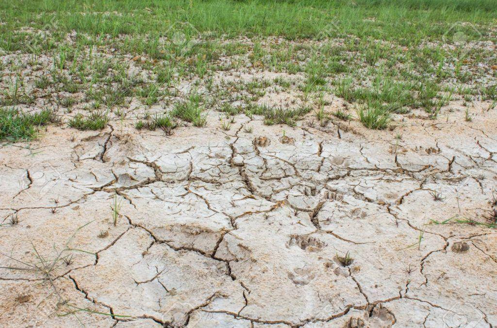 Undeveloped land plots in Azerbaijan to be put to use