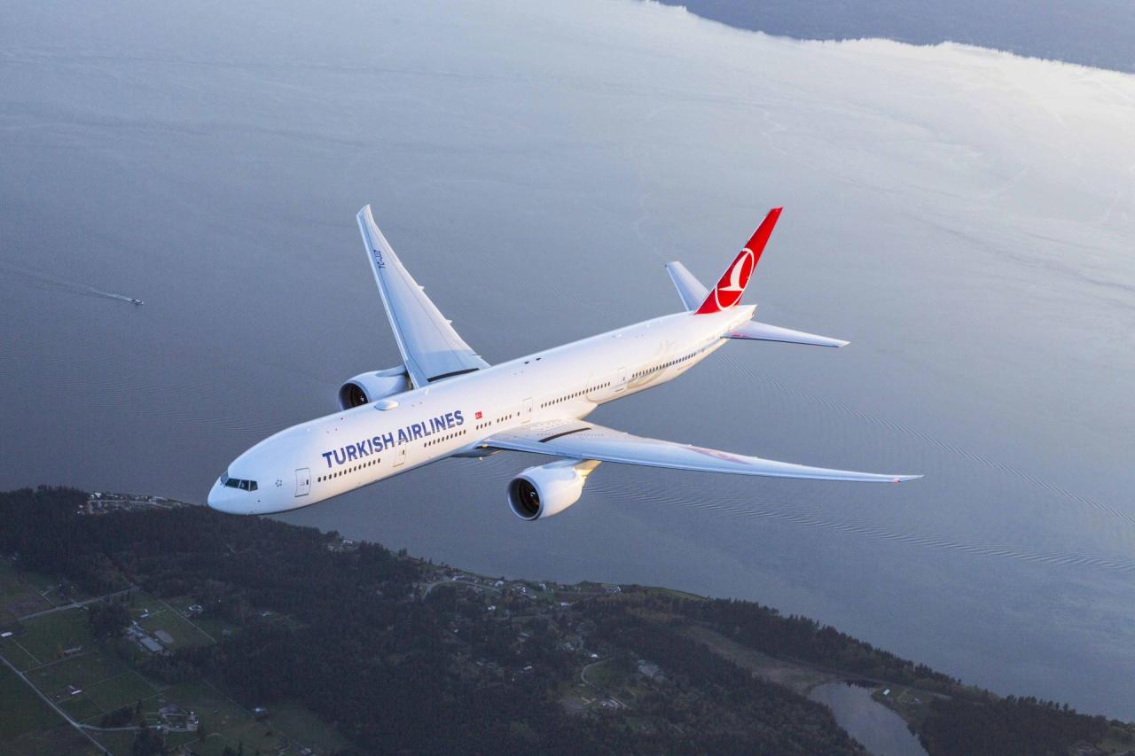 Turkish Airlines plans to resume flights to Azerbaijan’s Ganja
