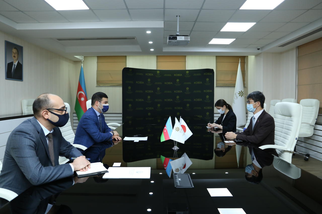 Azerbaijan, Japan mull cooperation in SMBs