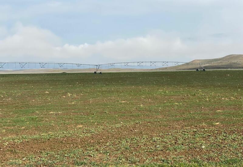 Grain sowing underway in Azerbaijan’s liberated lands [PHOTO/VIDEO]