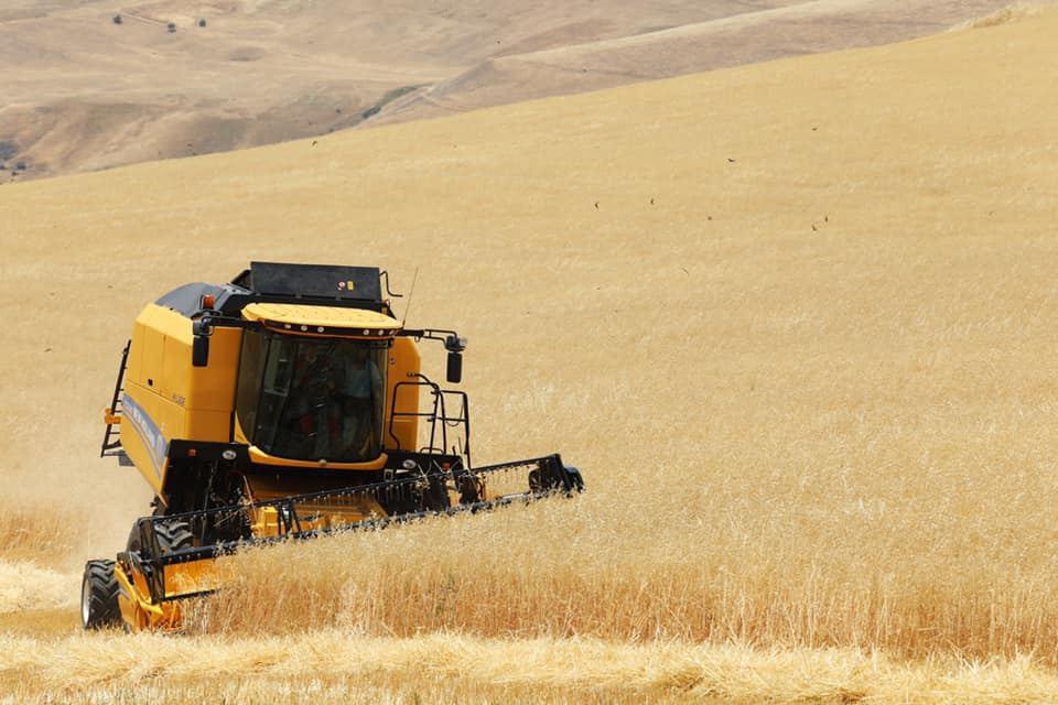 Azerbaijan extends term of VAT exemption for grain imports