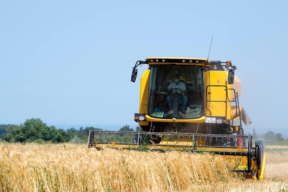 Head of parliamentary committee talks agricultural activity in liberated Azerbaijani lands