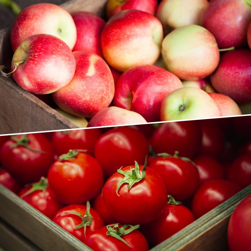 Russia lifts ban on tomatoes, apples import from 27 Azerbaijani enterprises