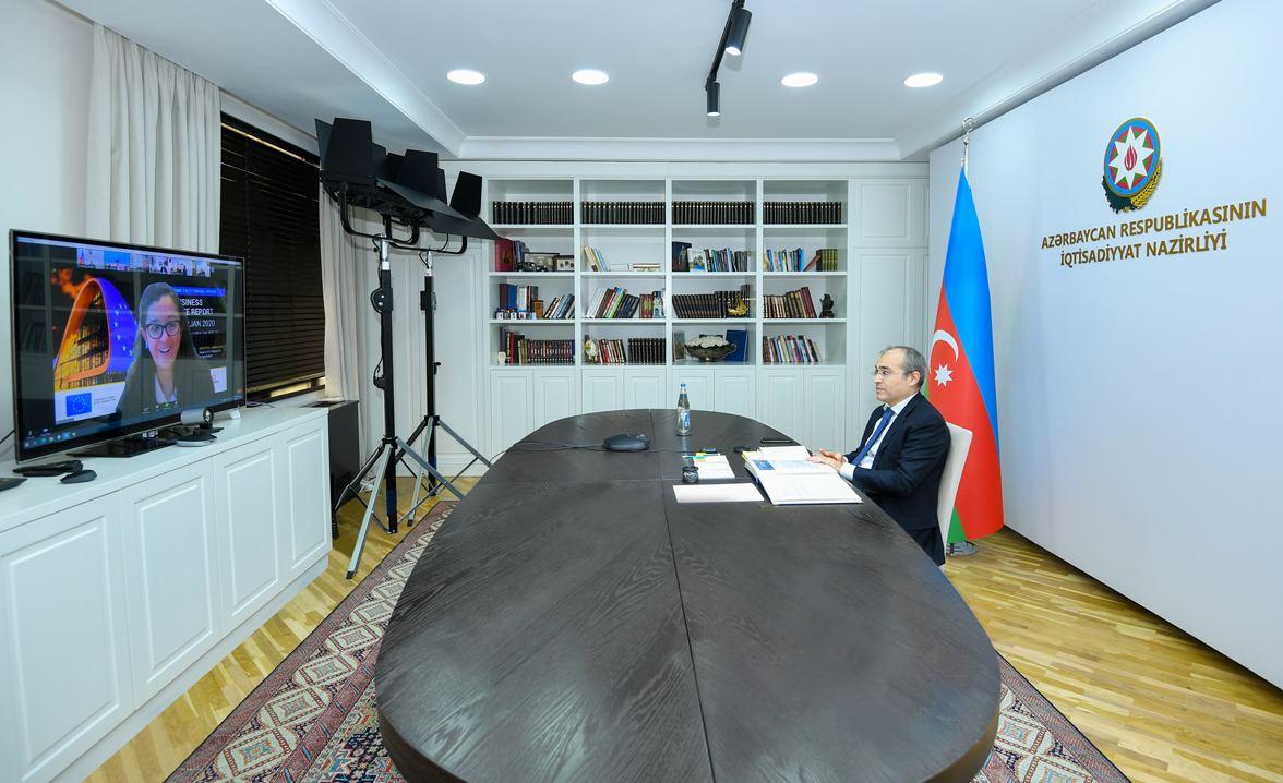 European companies intend to continue activity in Azerbaijan (PHOTO)
