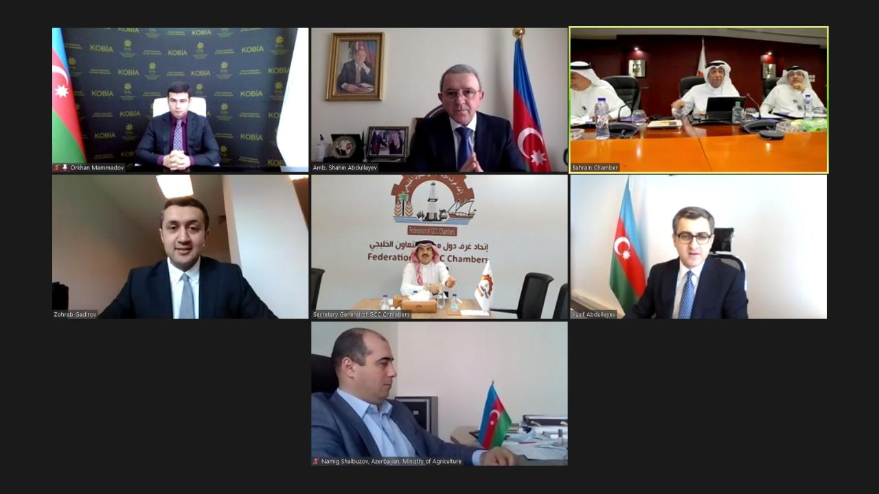 Azerbaijan, Gulf Cooperation Council mull business ties