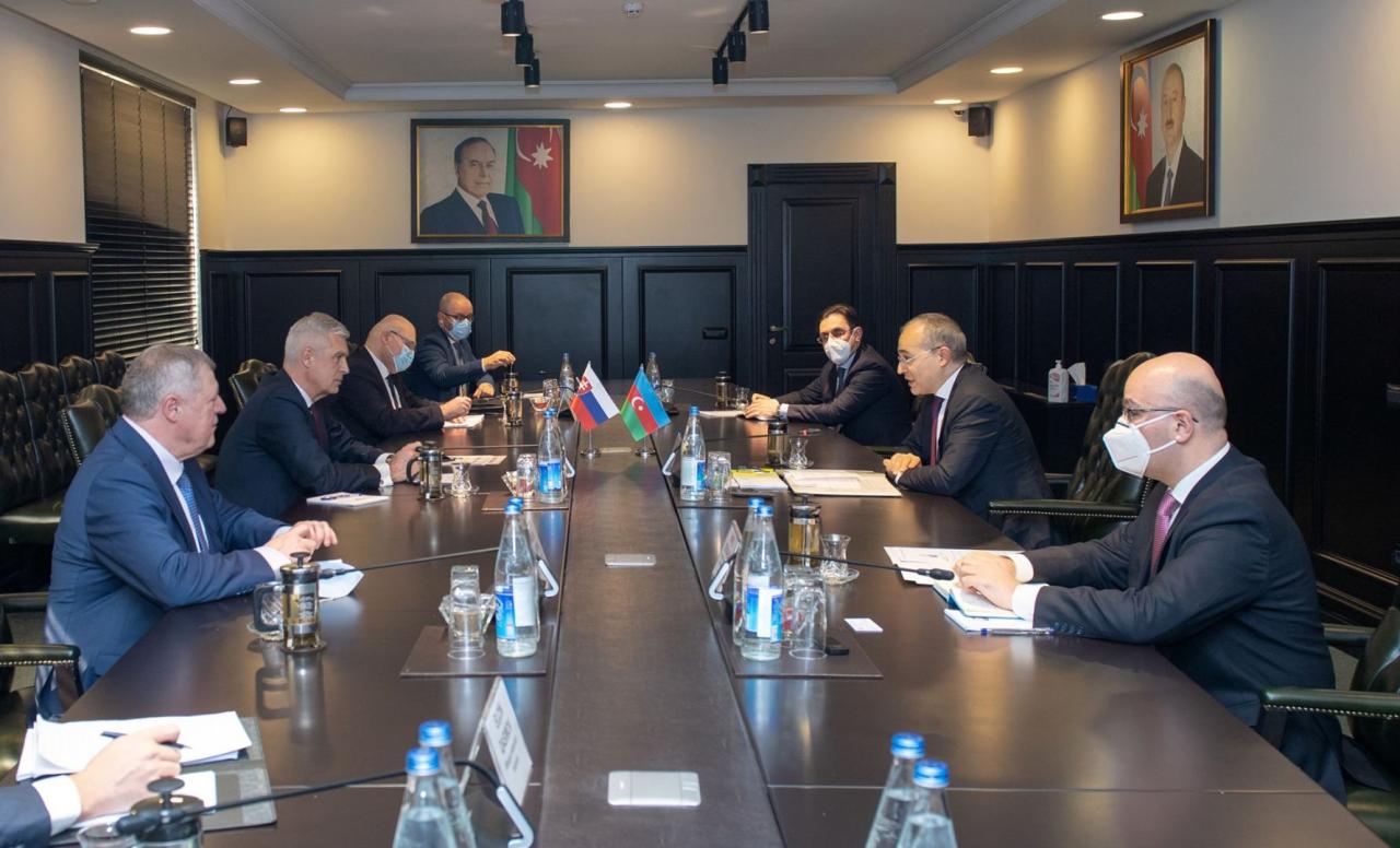 Azerbaijani, Slovak ministers discuss issue related to expansion of economic ties [PHOTO]