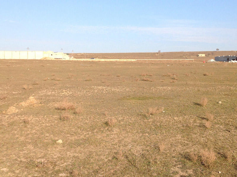 Azerbaijan's State Committee for Property Issues to conduct large-scale soil-field research in regions