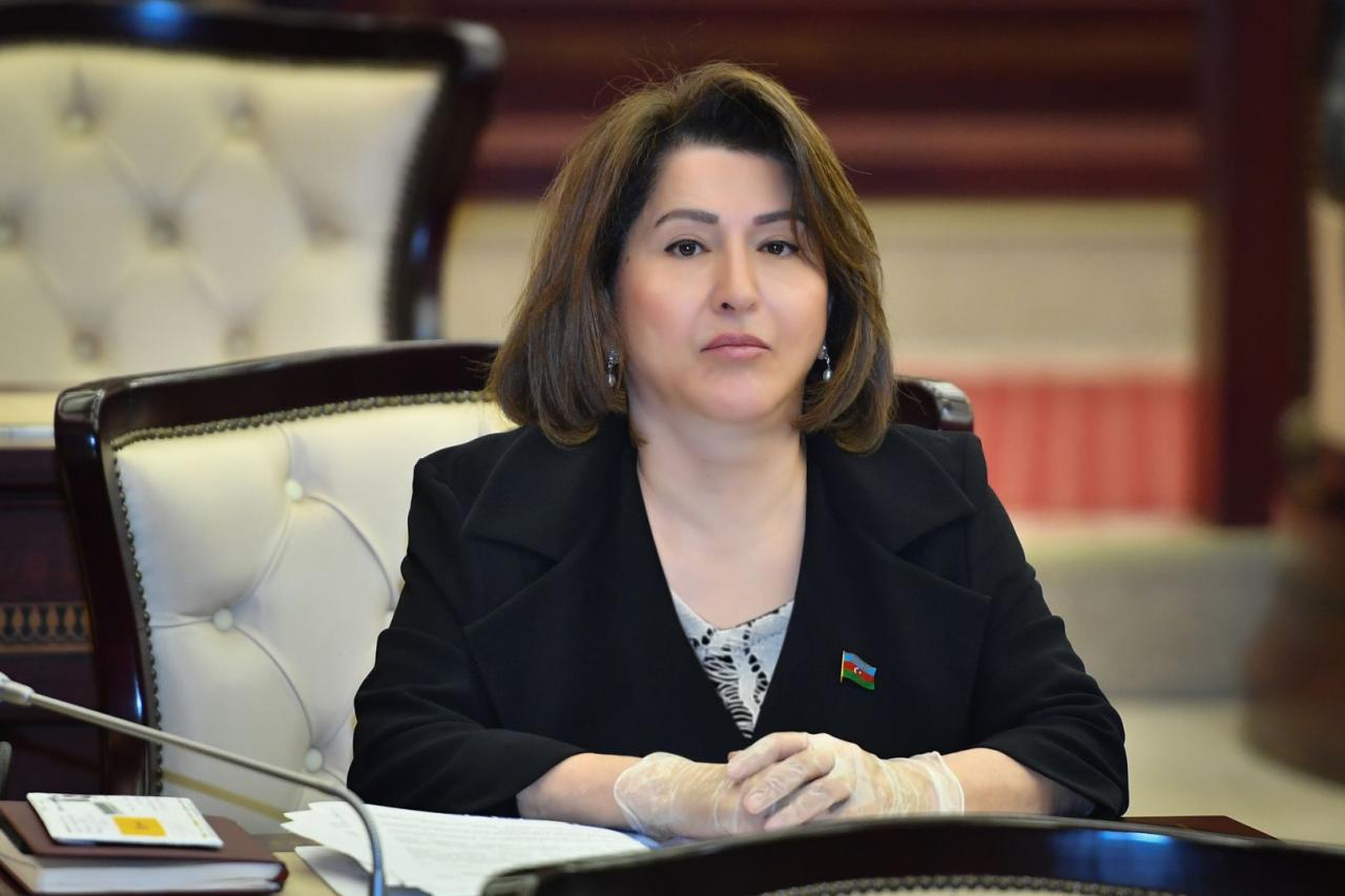 Azerbaijani MP: Unfair approach undermines credibility of COVAX