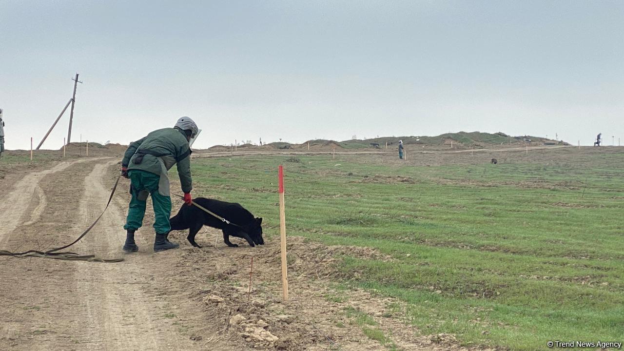 Azerbaijan demining areas for future communications in liberated territories
