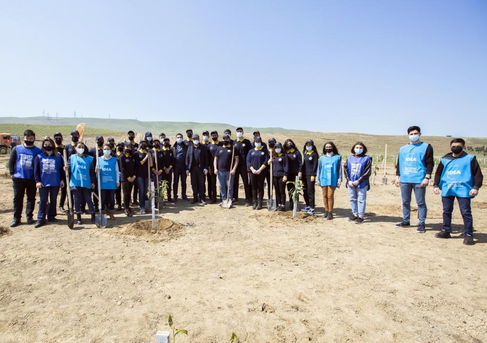 More than 1,600 trees planted in Baku [PHOTO]