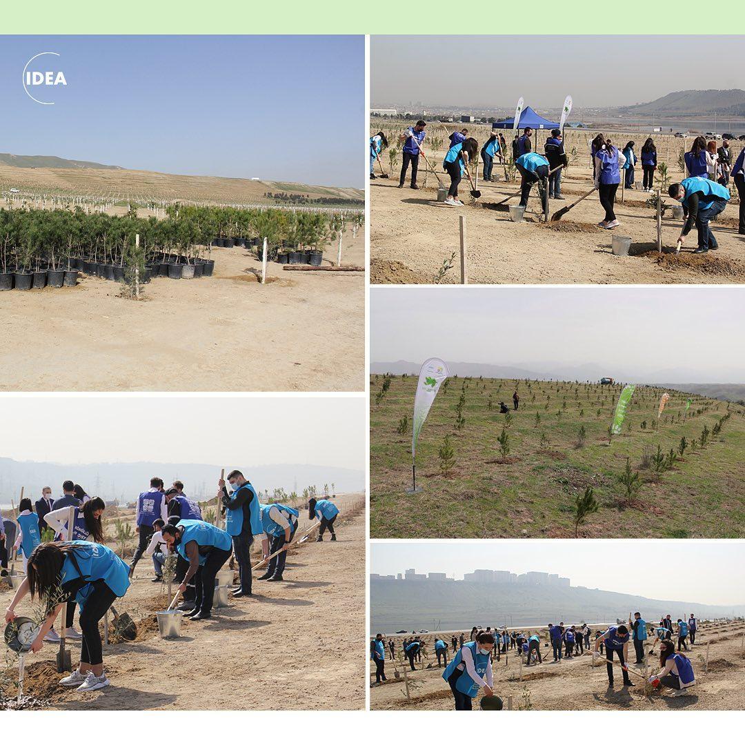 More trees planted in country's regions [PHOTO]