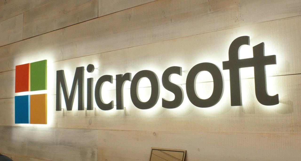 Microsoft implementing projects with Azerbaijan's educational institutions