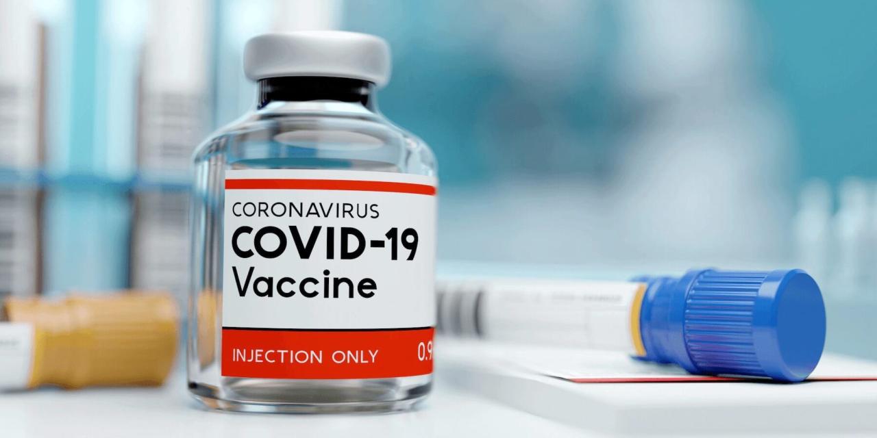 Turkey develops innovative COVID-19 vaccine, minister volunteers