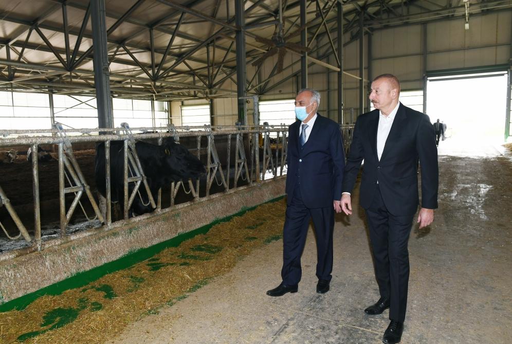 President Aliyev inaugurates new agcriculture projects in Hajigabul [UPDATE] - Gallery Image