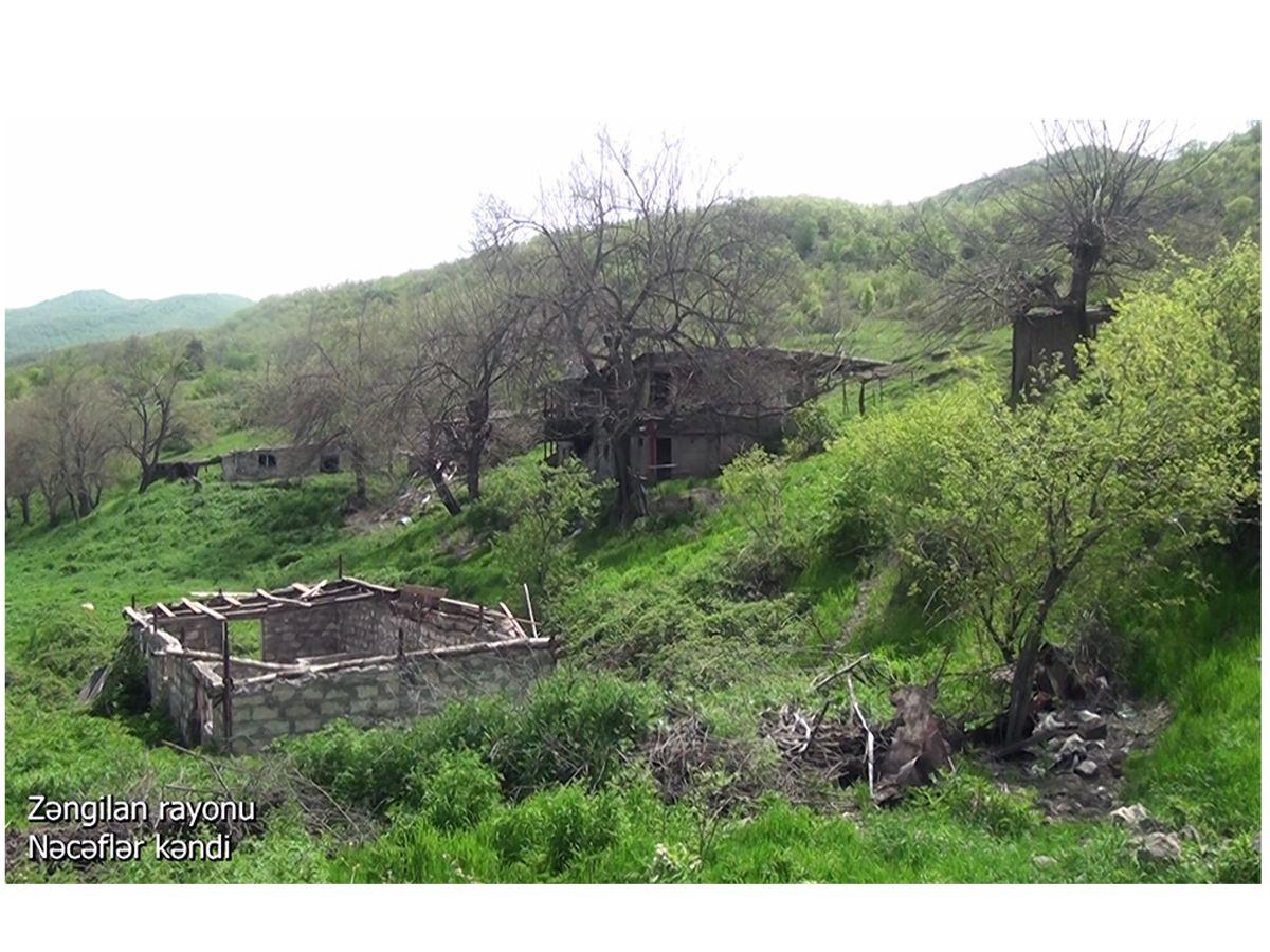 MoD shows video from Zangilan's Najaflar village [VIDEO]