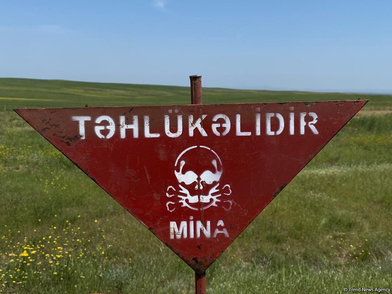 Azerbaijan talks danger of mines in liberated Kalbajar