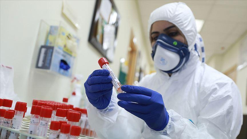 Georgia reports 504 new cases of coronavirus for May 17