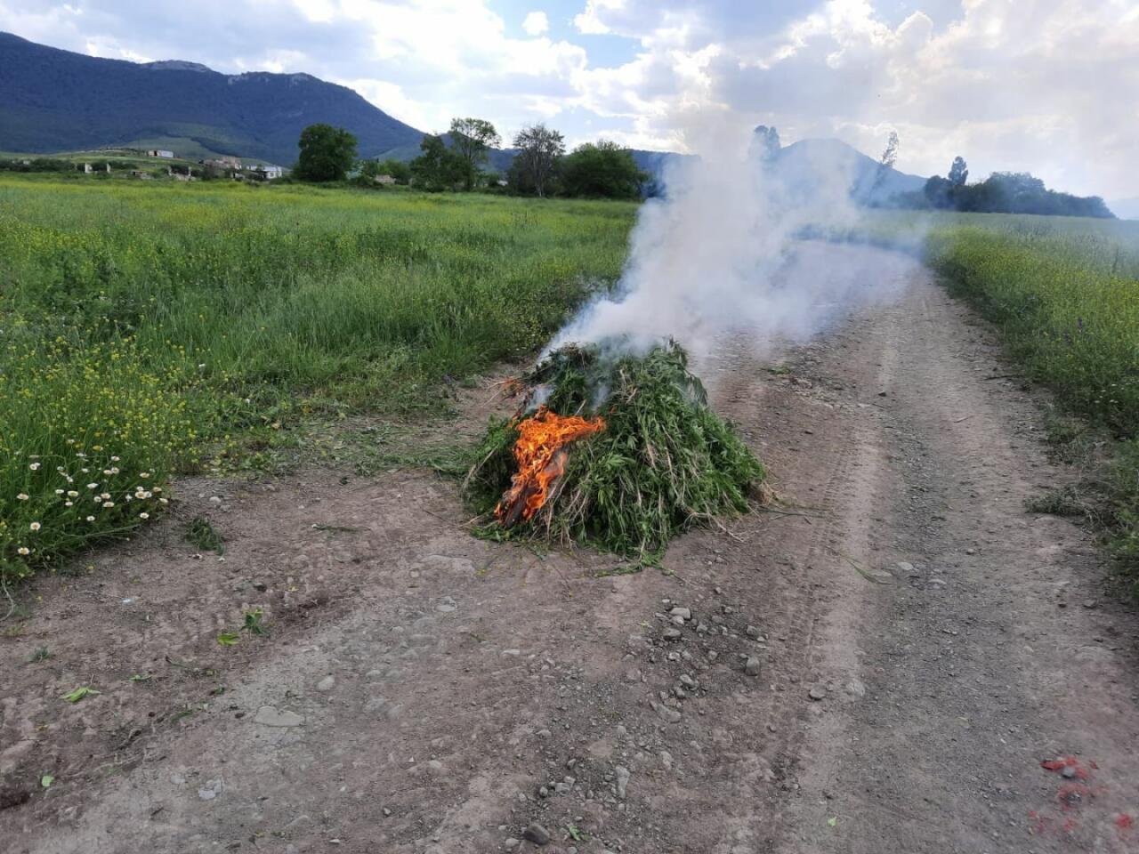 Police seize Armenian-planted drugs in liberated regions