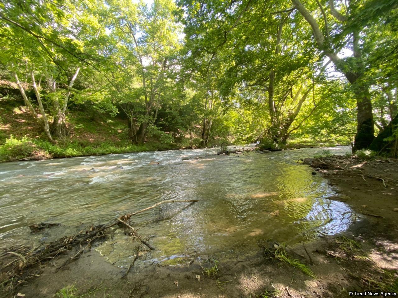 Azerbaijan to set up national park in liberated lands