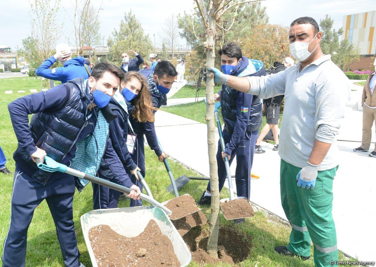 Tree planting held in Baku on eve of World Aerobic Gymnastics Championship [PHOTO]