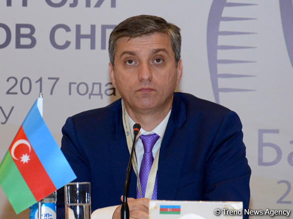 Head of Chamber of Accounts talks Azerbaijan's foreign reserves amid COVID-19 spread