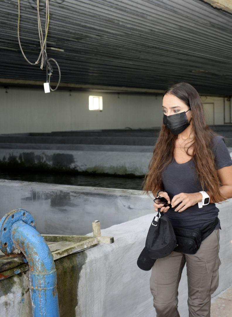 Leyla Aliyeva attends ceremony to release sturgeons into water [PHOTO] - Gallery Image