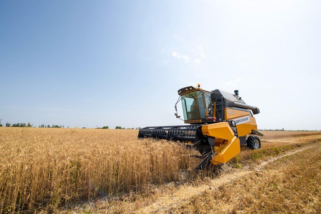 Ministry discloses volume of grain harvested in Azerbaijan