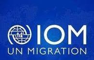 IOM Azerbaijan provides reintegration aid to 193 returnees in Apr-May 2021