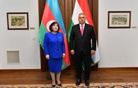Orban hails Azerbaijan's role in Hungary's energy security