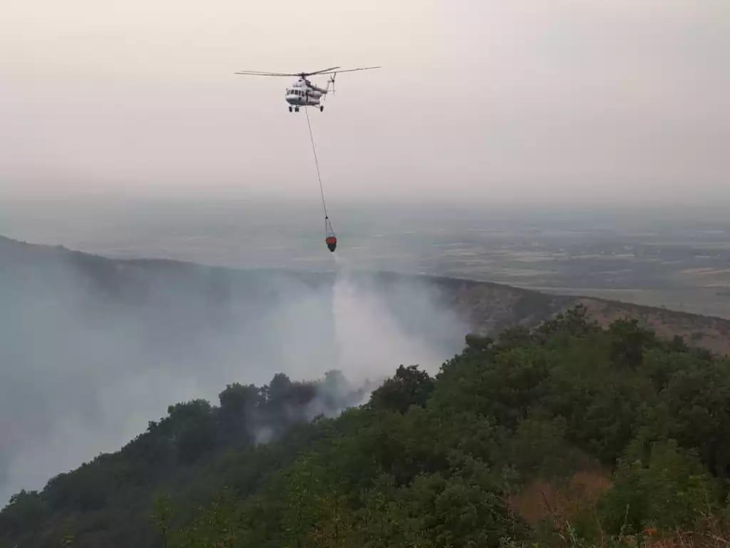 Mined forest strip burning in Azerbaijan's Fuzuli