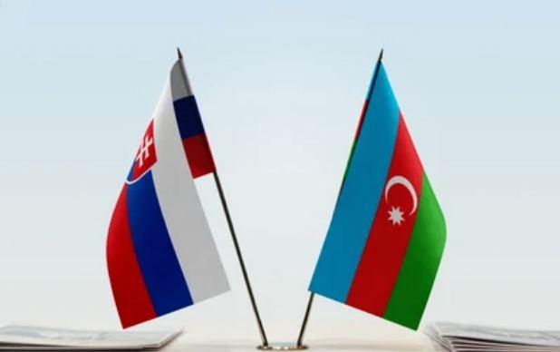 Azerbaijan, Slovakia hold political consultations between foreign ministries