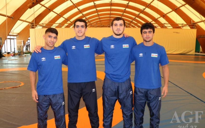 National wrestlers reach quarterfinals of European Championship