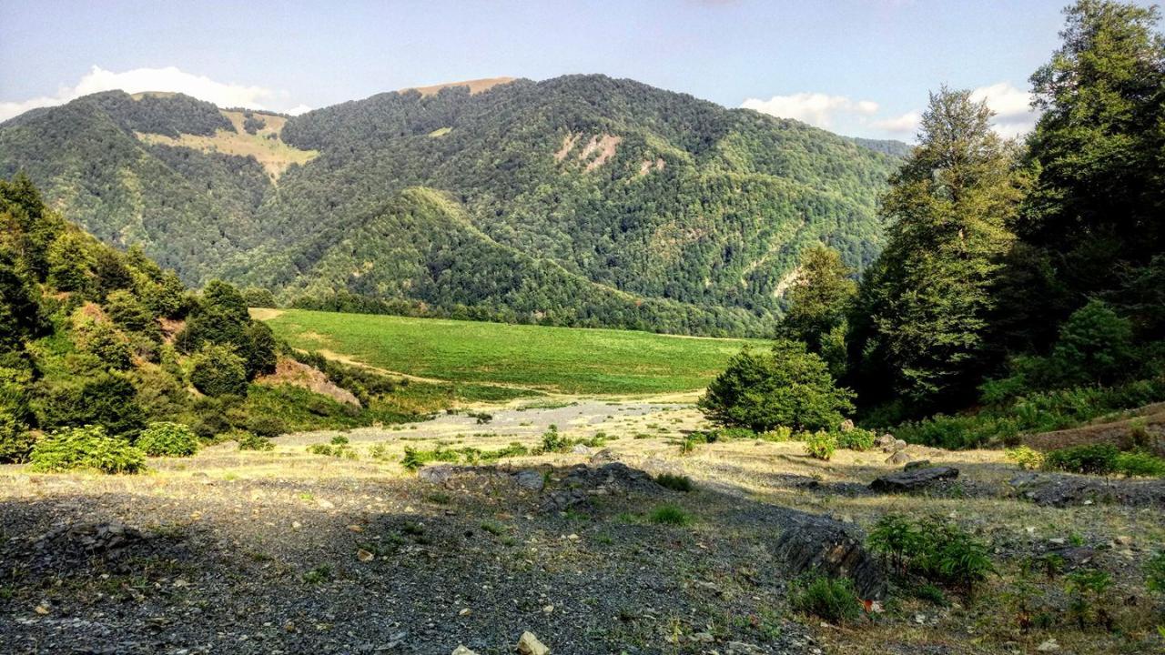 Azerbaijani ministry comments on allegations about destruction of Galajig forest in Gusar