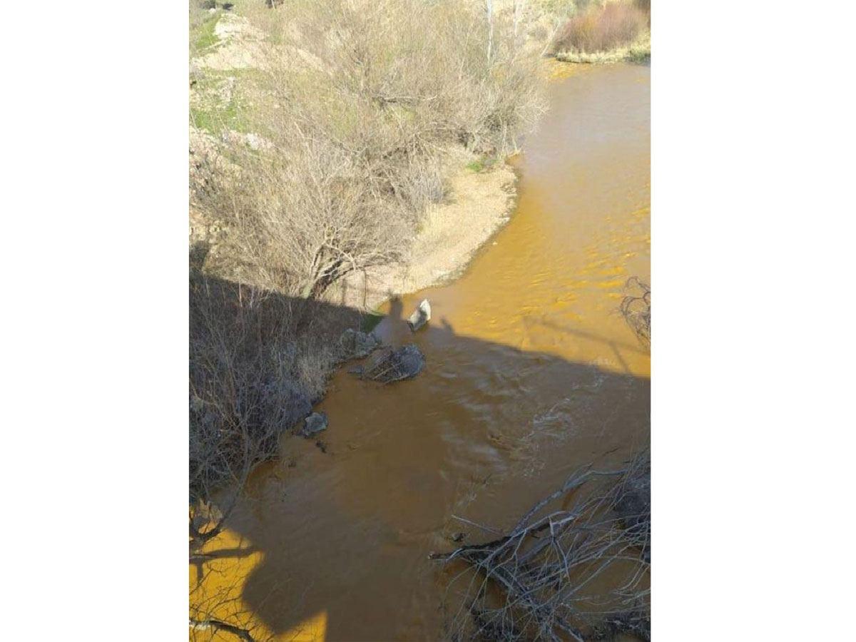 WWF investigating circumstances of environmental disaster on Azerbaijan’s Okhchuchay River [PHOTO]