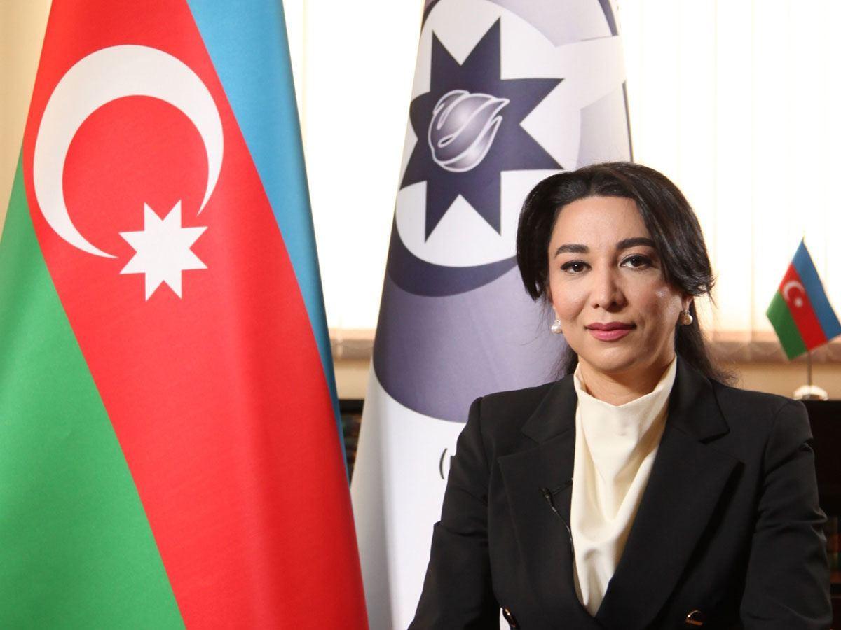 Azerbaijan seeks decisive int'l action over Armenia's war crimes