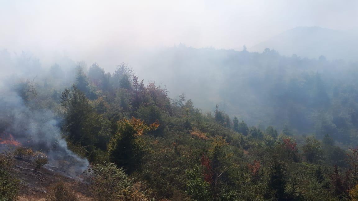 Fire extinguished in mined area in Azerbaijan's liberated Khojavand [VIDEO]