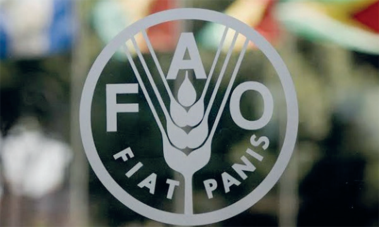 FAO supporting several projects on local food promotion in Azerbaijan (Exclusive)