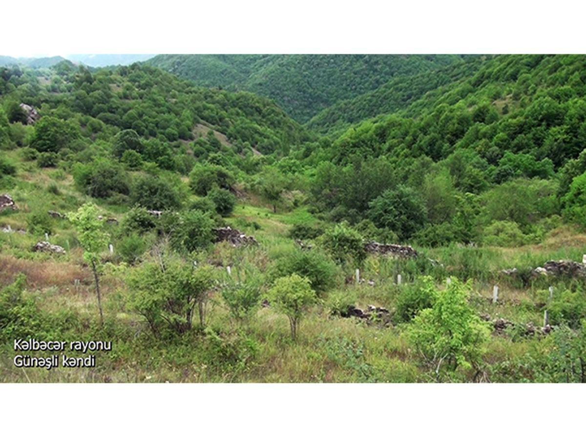 MoD releases footage from Kalbajar's Gunashli village [VIDEO]